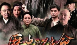 电视剧史命,穿越时空的传奇之旅