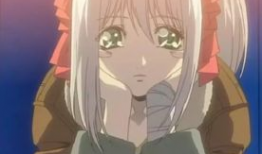 收获之夜动漫在线观看,动漫盛宴，在线观看指南