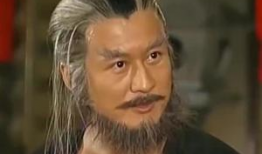 如来神掌电视剧,传奇武学，英雄传奇