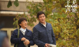 于无声处电视剧,揭秘谍战风云中的隐秘人生