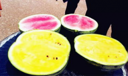 国外吃瓜爆料叫什么来着